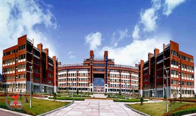 تحصیل در دانشگاه شاندونگ چین