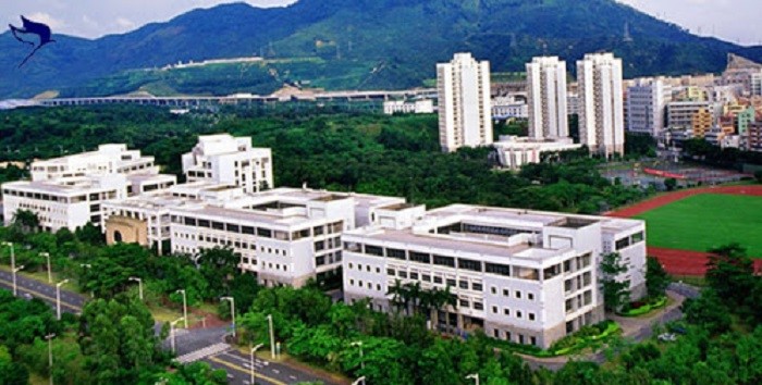 دانشگاه های شنزن چین